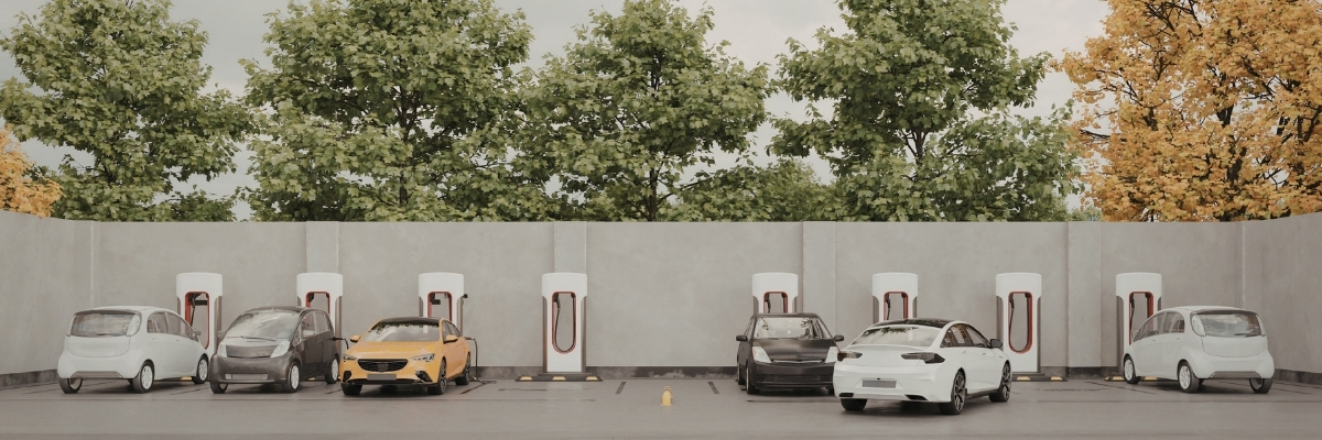 Elektrikli Araç Pazarında Devlet Teşviklerinin Rolü